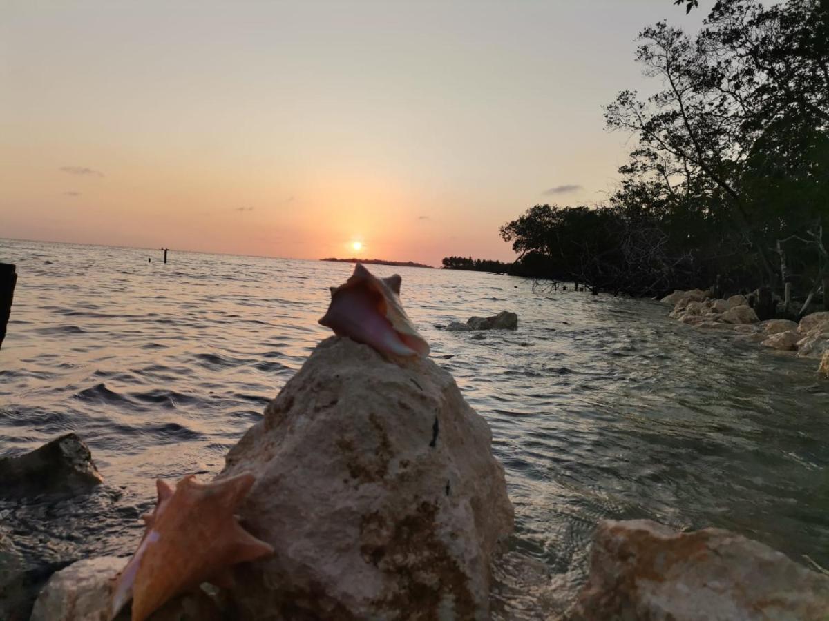 Hostel Villa Luz Beach Tintipan Island 外观 照片